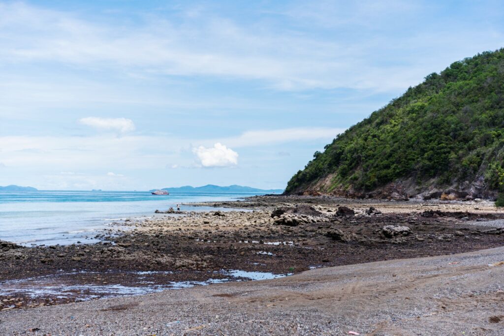 DSC00898 1 1536x1024 1