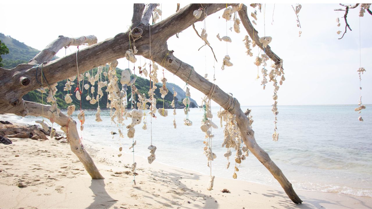 หาดแสม 6 KohLarn.co 2024 11 18T105821.323