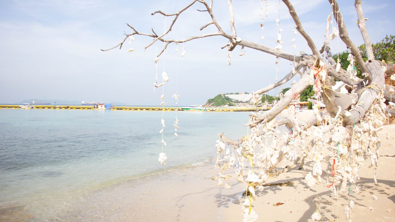 หาดแสม 5 KohLarn.co 2024 11 18T105917.115