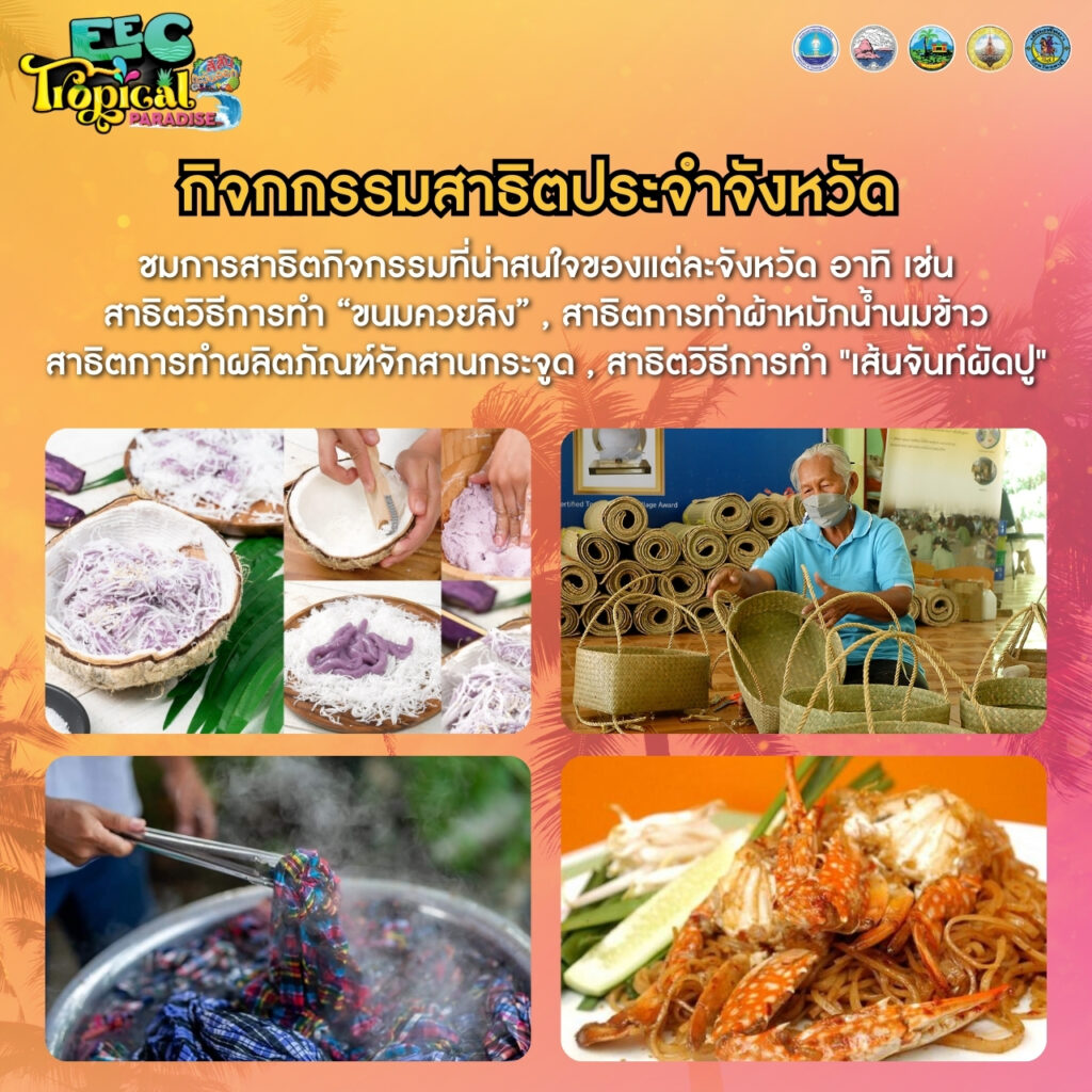 EEC Tropical Paradise 4 494553705 738445442176799 8253156418205654676 n